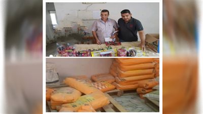 محافظ الاسماعيلية يتابع نتائج حملات الرقابة على المحال والمنافذ