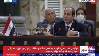 (فيديو) السيسي في قمة بغداد: علينا أن نتحد لمواجهة ما يهدد مستقبل الشباب