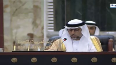 (فيديو) المزروعي: موقف الإمارات ثابت من دعم العراق والوقوف إلى جانبه