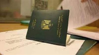 (فيديو) خبير يكشف تفاصيل وثيقة تأمين رعاية المسافر وأهميتها للمواطنين