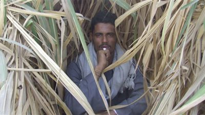 مقتل أحد رجال خُط الصعيد