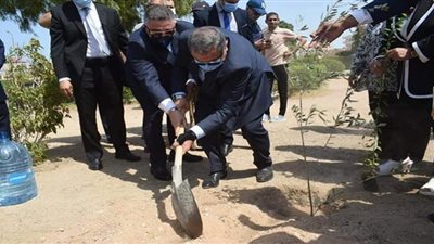 غرس عدد من الأشجار المثمرة بحديقة الأسرة بالغردقة