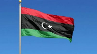 دول جوار ليبيا تؤكد تمسكها بسيادتها ووحدتها الوطنية