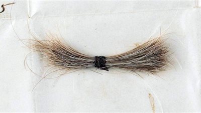 شاهد.. ٨١ ألف دولار| ثمن بيع خصلة شعر لرئيس أمريكي سابق