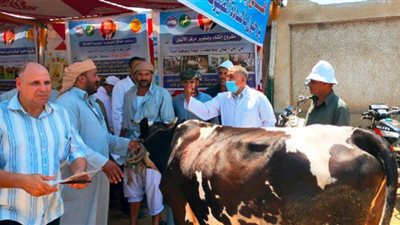 بيطري الشرقية يُنظم قافلتين بيطريتين بقريتي بحر البقر 2 وسماكين الغرب