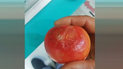 ضبط 3 أطنان خضروات مجمدة منتهية الصلاحية بالشرقية