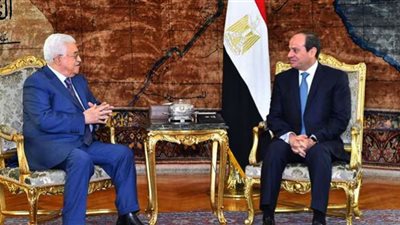(فيديو) دبلوماسي: مصر تبذل جهود كبيرة لدعم القضية الفلسطينية