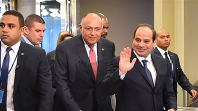 المركز المصري للفكر: الدبلوماسية المصرية أدت دور عظيم في دعم القضية الفلسطينية (فيديو)