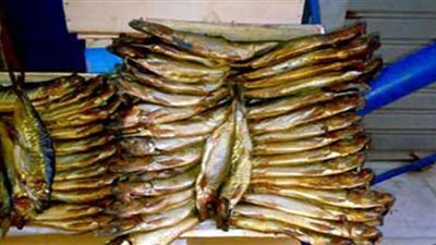 ضبط 2,5طن رنجة غير صالحة بالغربية