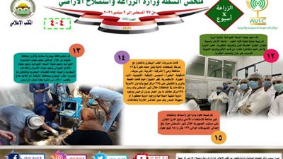 بالإنفوجراف.. 