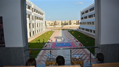 كلية الحاسبات والمعلومات بجامعة دمياط تقدم برنامج المعلوماتية الطبية للطلاب الجدد