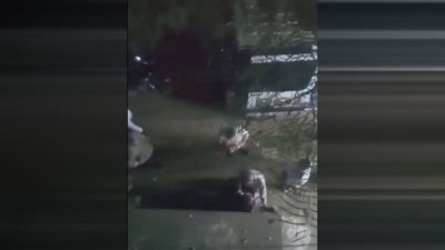 شاهد.. فيديو يكشف ضرب سيدة وسحلها في الشارع أمام المارة