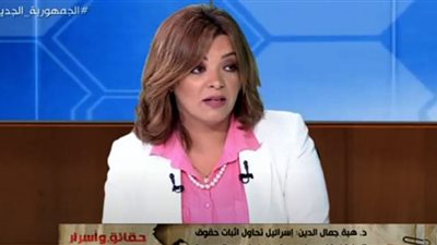 أستاذ علوم سياسية: السلام الإبراهيمي خطة إسرائيلية لتسييس الدين لخدمة مشروعهم (فيديو)