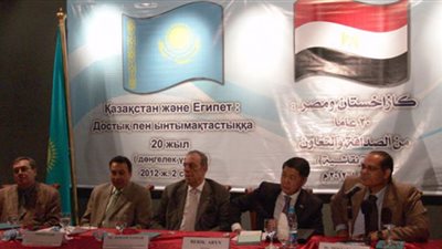 الشامى: الصراع الحالى سيفرز دستورا يحقق طموحاتنا