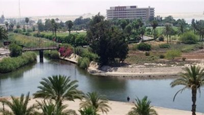 مهزلة فى مسابقة الإخصائى الاجتماعى المثالى بالإسماعيلية