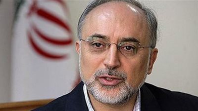 صالحى:ايران ستواصل برنامجها النووى رغم القيود