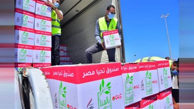 تخصيص 26 ألف كرتونة غذائية بأسوان ضمن قافلة
