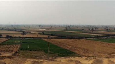 تعاون ألمانى لزراعة الغابات بالأراضى الصحراوية