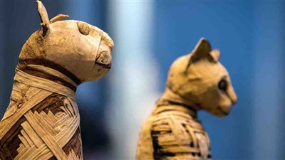 قرابين أم تقديس.. سر تحنيط المصري القديم للحيوانات