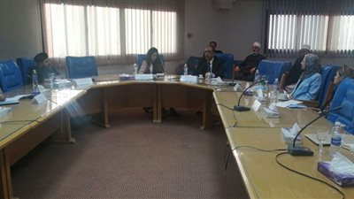 وزيرة التخطيط:الدولة تسعى لتناول القضية السكانية من منظور تنموى شامل