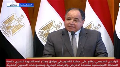 (فيديو) معيط: عممنا منظومة النافذة الواحدة على نظام إلكتروني لربط الممرات الجمركية