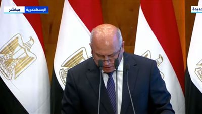 (فيديو) تفاصيل مشروعات تطوير ميناء الإسكندرية الكبير لخدمة التجارة العالمية