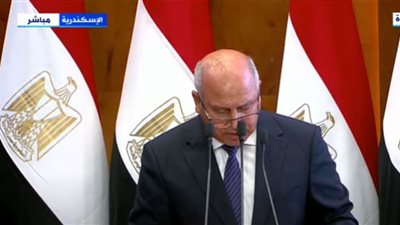 (فيديو) بتكلفة 7 مليارات جنيه.. وزير النقل: ننفذ محطة تحيا مصر متعددة الأغراض على الأرصفة 55-62