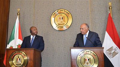 شكري: مصر تعمل لاتخاذ إجراءات ملائمة مع الوضع في غينيا وفق الاتحاد الإفريقي (فيديو)