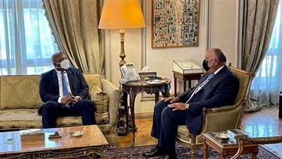 وزير الخارجية: مواقف بوروندي دائمًا داعمة للأمن القومي المصري (فيديو)