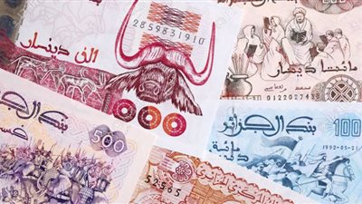 منحة 8000 دينار للعاطلين عن العمل الجزائر منحة الـ8000 دج