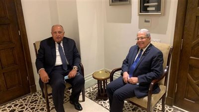 ‏شكري يبحث مع نظيره التونسي القضايا ذات الاهتمام المشترك