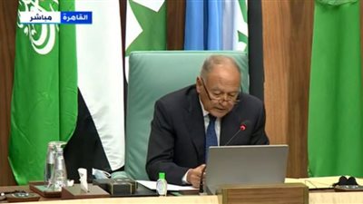 أبو الغيط: دعم سيادة العراق مفتاحًا أساسيًا لاستقرار المشرق العربي (فيديو)