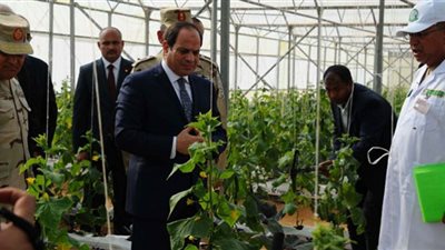 مصيلحي: مبادرات الرئيس السيسي بقطاع الزراعة تدعم 320 مشروعًا (فيديو)