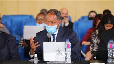 المشاط: مصر لم تشهد أي تعطيل أو معوقات في سلاسل الإمدادات خلال كورونا