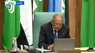 الأمين العام للجامعة العربية: هناك مؤشرات مقلقة بشأن تدهور الأوضاع في لبنان (شاهد)