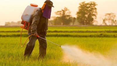المركزى للحشائش ينظم دورة تدريبية حول الاستخدام الأمن والفعال للمبيدات بالنوبارية