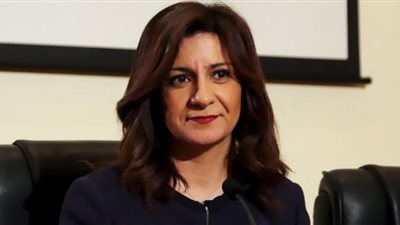 المركز المصري الألماني للوظائف: قدمنا العديد من الخدمات لمختلف المصريين بالخارج