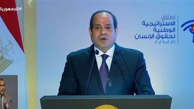 السيسي يوضح أبرز المبادئ الأساسية في رؤية مصر لحقوق الإنسان (فيديو)