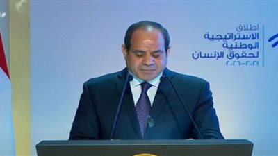 السيسي: الدولة المصرية ملتزمة باحترام وحماية الحق في الحريات للمجتمع المصري (فيديو)