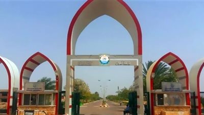 إصابة 5 أشخاص اثر انقلاب سيارة بالطريق الصحراوي بأسوان