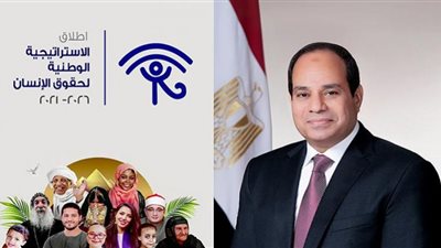 برلماني: مصر لن تقبل باستخدام ملف حقوق الإنسان سياسيًا (فيديو)