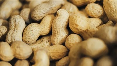 لهذا السبب.. يجب على مرضى السرطان عدم تناول الفول السوداني