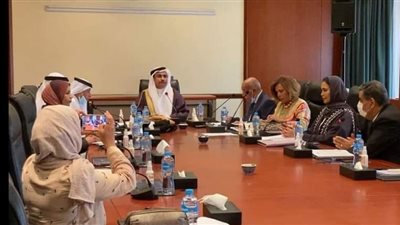 المرصد العربي : الإستراتيجية المصرية لحقوق الإنسان غنية بالمرتكزات الرئيسية التي تقوم عليها منظومة حقوق الإنسان