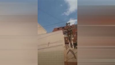 شاهد.. أسلاك الضغط العالي تهدد حياة المصلين بالمسجد الغربي بمنيل جويدة بالمنوفية