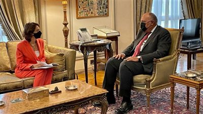 شكرى يستقبل رئيس مؤسسة آنا ليند