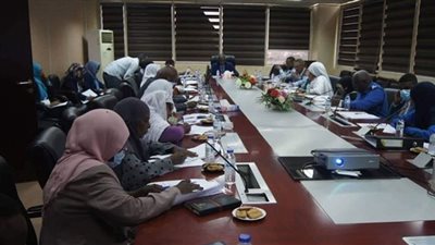 بحث استفادة السودان من تمويل الاتحاد الأوروبي للدول الافريقية الكاريبية الباسيفيكية