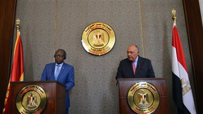 شكري يؤكد إمكان الخروج من أزمة سد النهضة