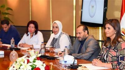 الهجرة: نعمل على حل مشكلات المصريين بالخارج وضمان حقوقهم على مدار الساعة