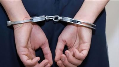 ضبط شخص نشر فيديو قديم لإدعاء سيدة بتعدي فرد أمن على ابنتها