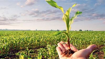 إنفوجراف.. أنشطة وجهود مديريات الزراعة والطب البيطري خلال أسبوع